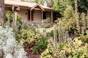 Image of Cole-Brook Cottage Historic House