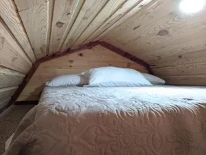 Image of The Gosling (Water access tiny cabin)