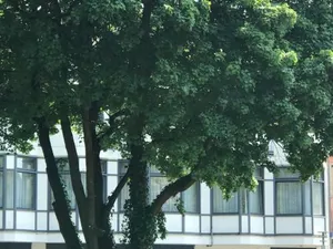 Image of Gästezimmer Klein und Fein für nach dem Wein