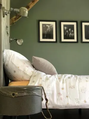Image of The Cat and The Owl B&B