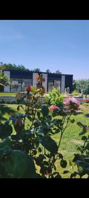 Image of Émeraude