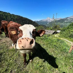 Image of Chez Francine