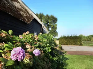 Image of Part of a Farmhouse with Private Terrace