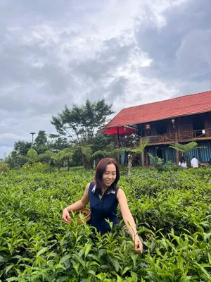 Image of Tea Garden House