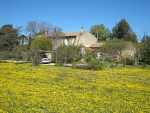 Image of Charming holiday home with private pool