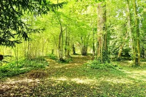 Image of VILLA EDOUARD - 180m2 in nature & forest - 20min Disney - 7min airport