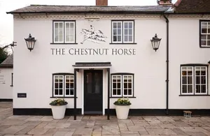 Image of The Chestnut Horse