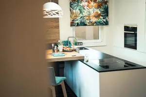 Image of 423 - Penthouse apartment centrum Mayrhofen near ski area