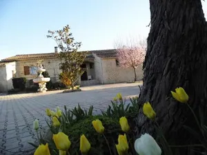 Image of Villa Eden 2 ch 2 sdb piscine et jardin