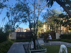 Image of Star Inn✴️星寓（临港新片区/迪斯尼/海昌海洋公园/滴水湖/野生动物园/浦东机场/洋山港）