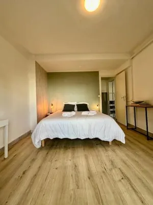 Image of Spacieux Duplex centre Tours et bord du Cher Loire Valley