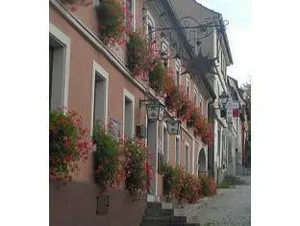 Image of Michels Stern