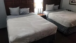 Image of Hotel 2 Queen Beds Hotel Room 136 Wi-Fi