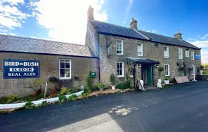 Image of Bird In Bush Elsdon