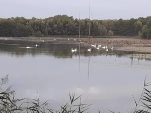 Image of La maison du colombophile