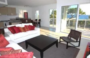 Image of Royal Palm 217