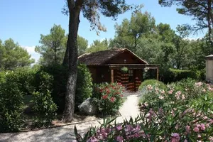 Image of Il Sole