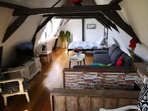 Image of WitteZwaan