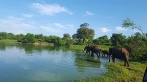 Image of Kuma Safari Lodge