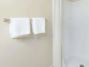 Image of Kalamazoo MI