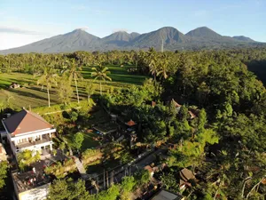 Image of Pitanatri Guest House : where nature at it's best