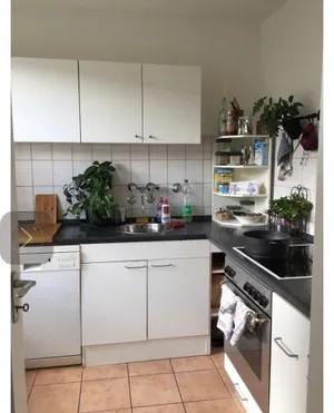Image of Munich tree house