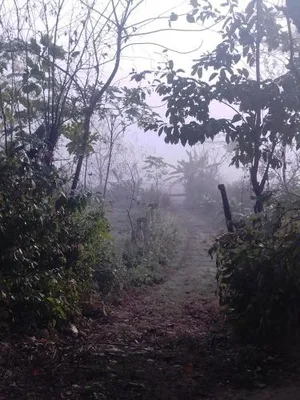 Image of Bird Sanctuary Farm House