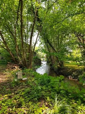 Image of Le Calme à la source