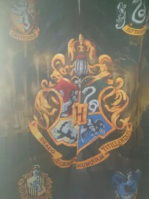 Image of Harry Potter theme Double room in shared house