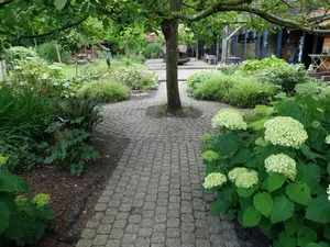 Image of B&B Land of Tir Nan Og
