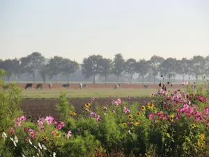 Image of Picturesque Holiday Home in Drimmelen with Garden