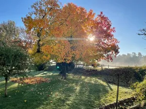 Image of Hotel Moulin de Villiers
