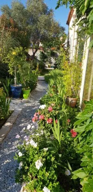 Image of Jean-Claude T Perols