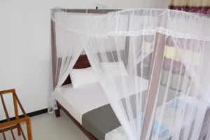 Image of Orchid Rest