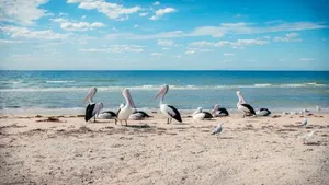 Image of Bellarine Bayside Portarlington