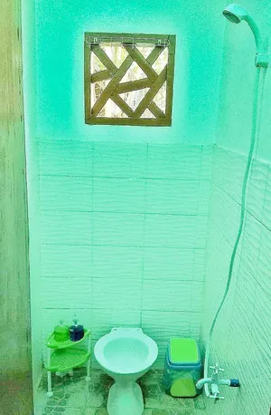 Image of FN-Lar's Transient