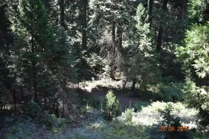 Image of White Chief Mountain Lodge