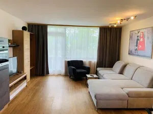 Image of Buchenblick