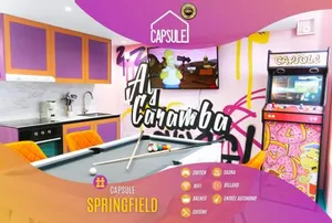 Image of Capsule Street Art - Sauna- Jacuzzi - Playstation 5 - Billard - Netflix - Home cinéma - Terrasse