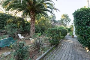 Image of Les Pierreplane