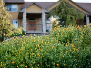 Image of Bella Vista Idaho