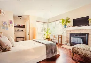 Image of Cute Room! Own entry with fireplace