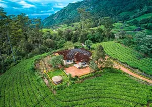 Image of Viriparai Tea Bungalow Munnar by VOYE HOMES