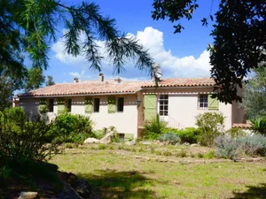 Image of Mas Misajail