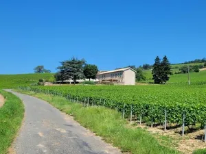 Image of La maison de Bruno