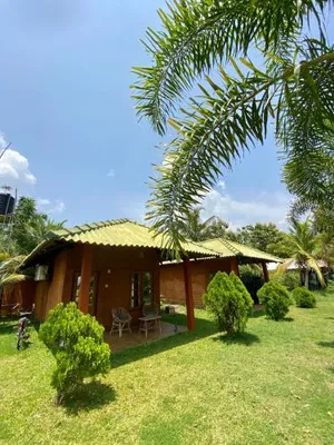 Image of Wild Breeze