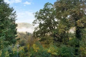 Image of Fe-wo in ruhiger Aussichtslage