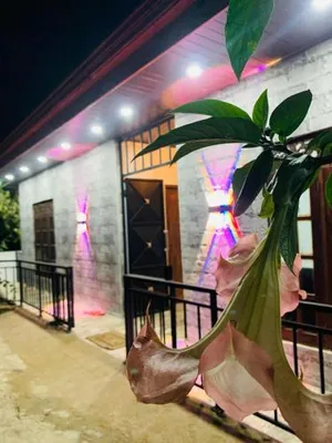 Image of Nethuli Inn Ella