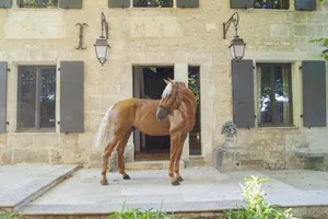 Image of Domaine Cap Rubis