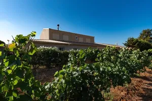 Image of Les Terres Rouges